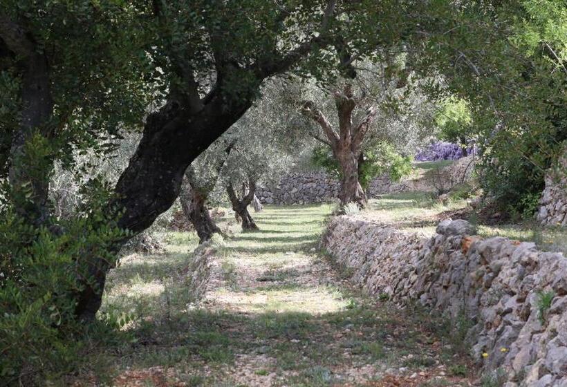 مبيت وإفطار Villa Foia Vella   Adults Only