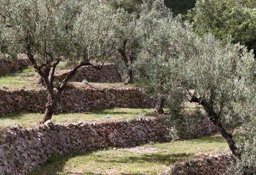 مبيت وإفطار Villa Foia Vella   Adults Only