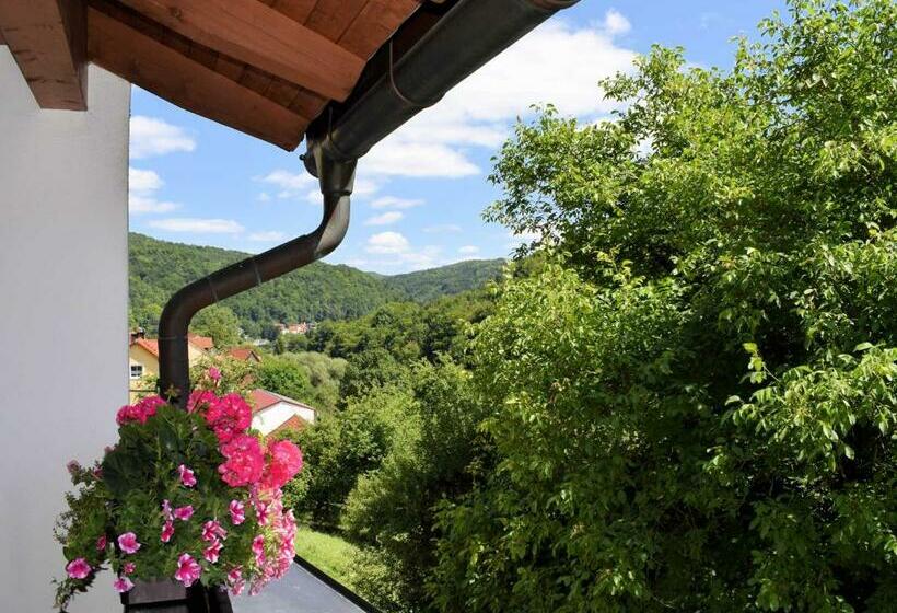 Отель Gaestehaus Grau
