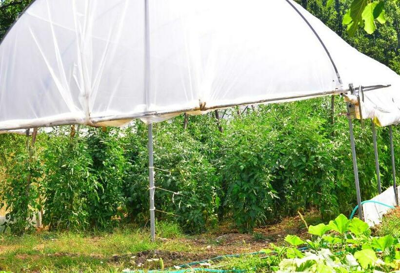 ベッドアンドブレックファースト Affittacamere Convivio