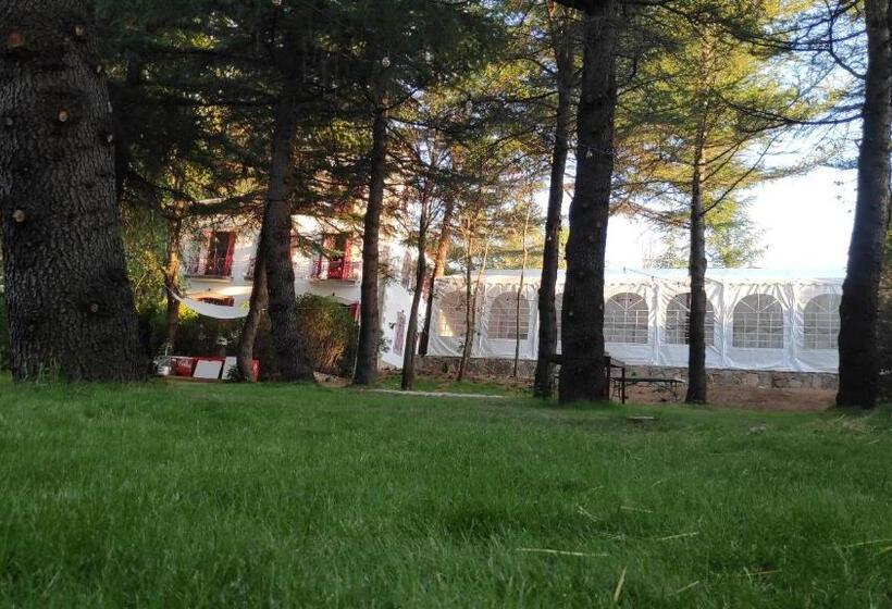 Pensão Casa Jardín El Colmenar