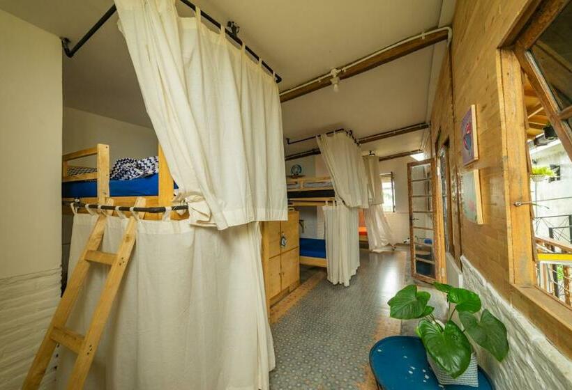 بنسيون Happy House Bnb Bromo Backpacker