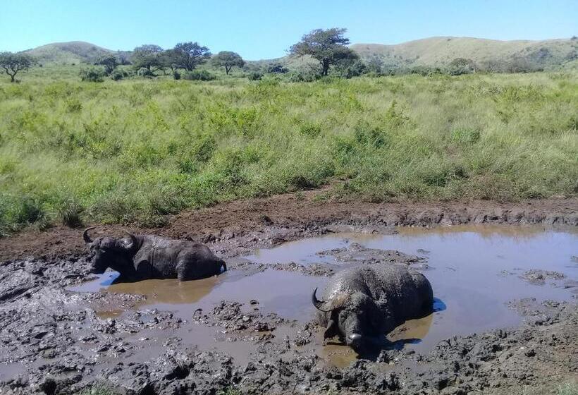 بنسيون Hluhluwe Gate Safari Camp