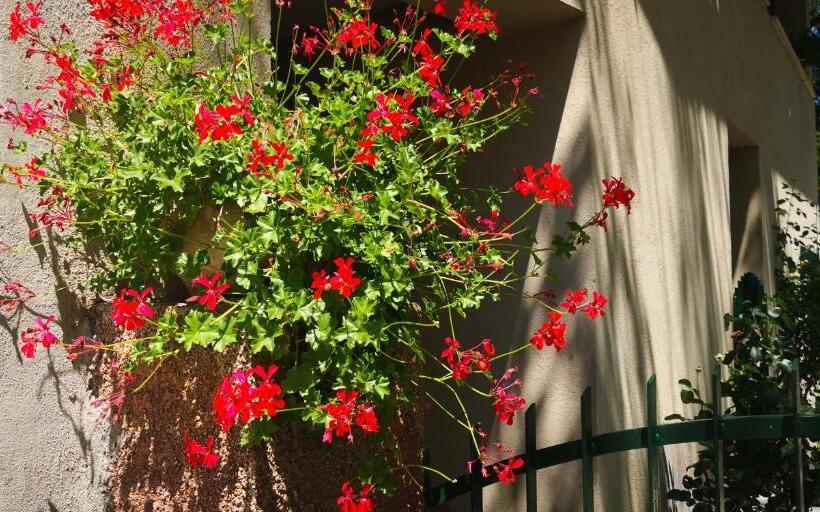 بنسيون La Casa Di Elena