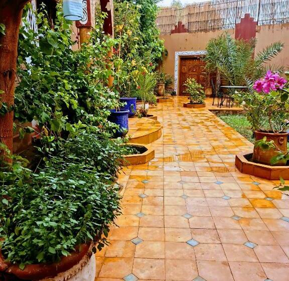 پانسیون Riad Fennec Sahara