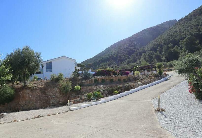 فندق Casa Arts Guest Rooms