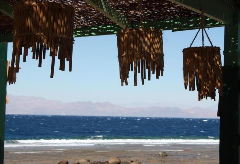هتل Dahab Beach Lodge