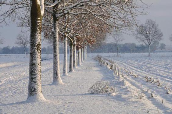 بنسيون Côté Terrasse