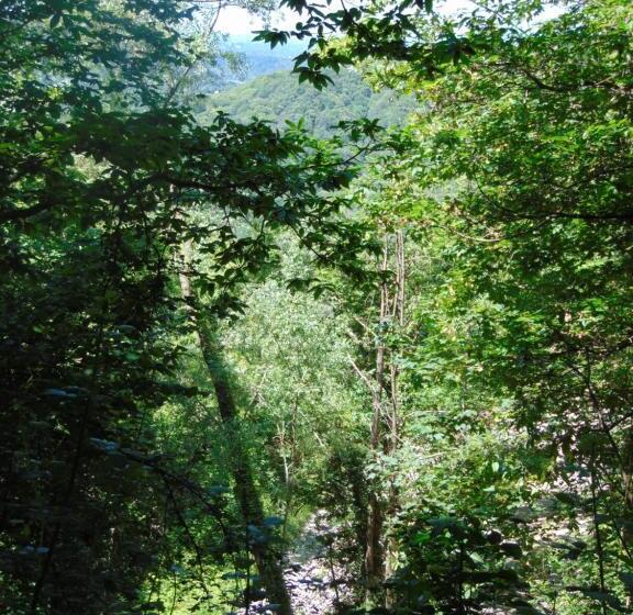 פנסיון Fragole E Menta