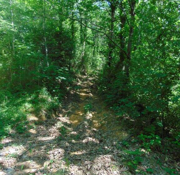 פנסיון Fragole E Menta