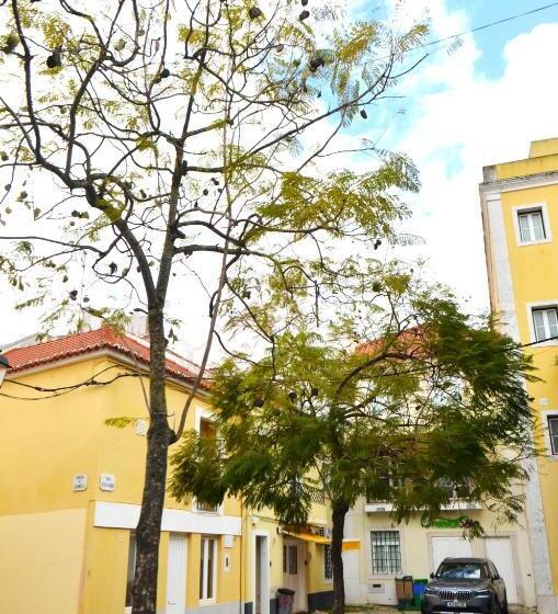 هاستل Rooms Dp Setúbal