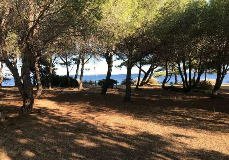 تختخواب و صبحانه Au Bord De Thau