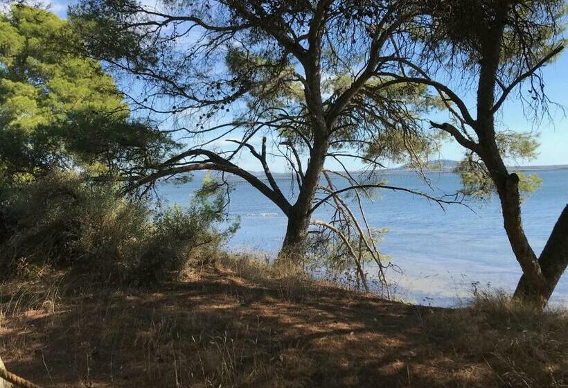 تختخواب و صبحانه Au Bord De Thau