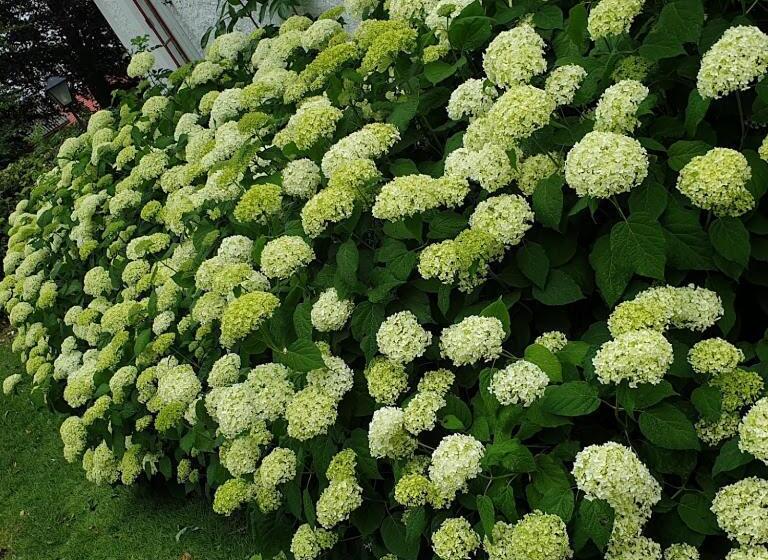 צימר Bo I Remmarlöv