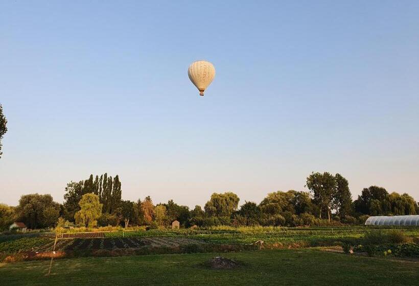 פנסיון Au Jardin Sur L Eau Hortillonnages