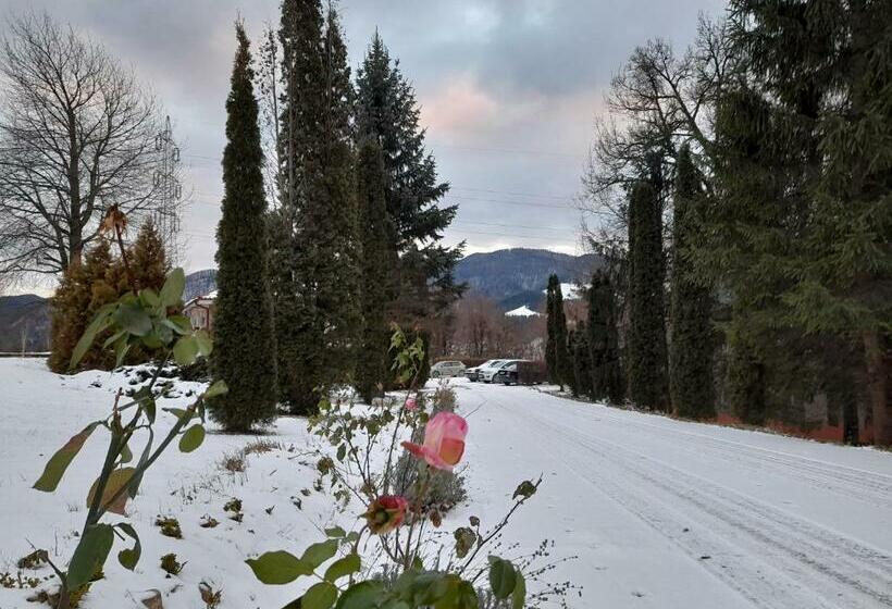 بنسيون Cabana Scaricica