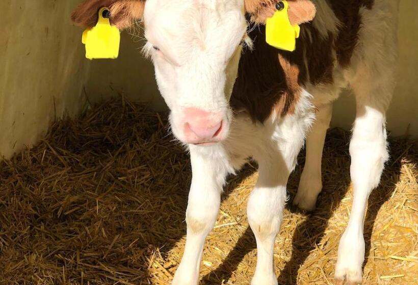 Пансион Feielhof