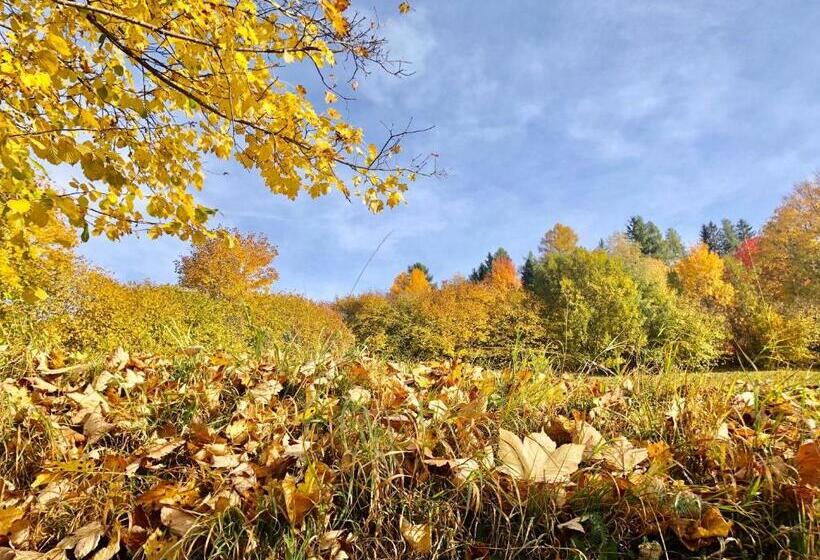 Пансион Feielhof