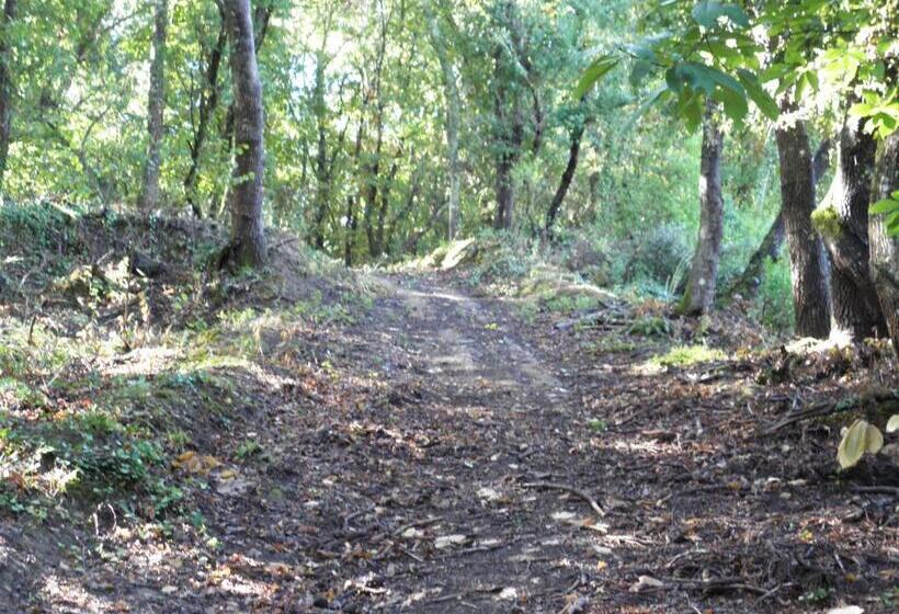 پانسیون Quinta Mata Da Sé