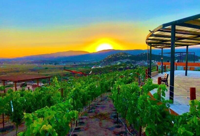 پانسیون Siempre Valle Hotel Boutique