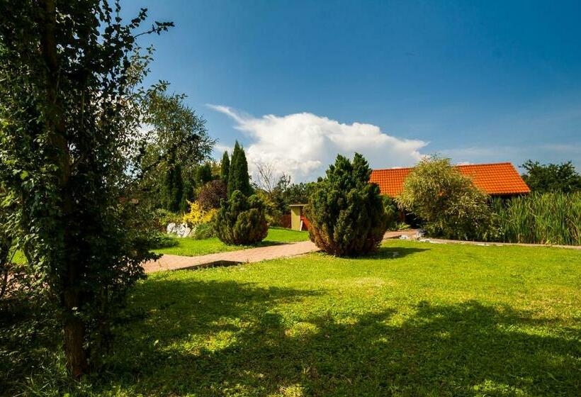 פנסיון Vila Transylvania