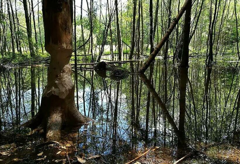 הוסטל La Bourgseigneurie