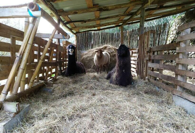 צימר Chambre Cévennes: Piscine, Lamas, Rivière