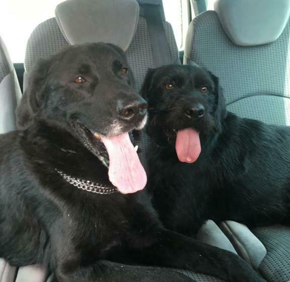 צימר Jardin Secret