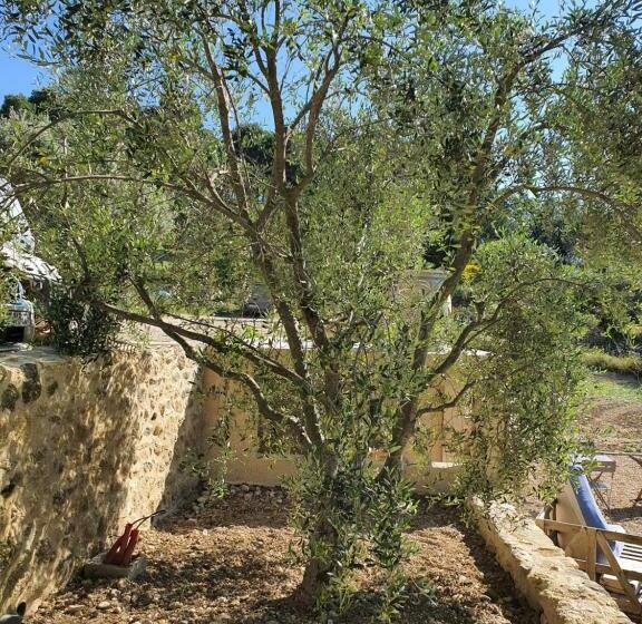 ベッドアンドブレックファースト Locations Insolites Vie En Plein Air Cabane Et Tipi Bastide Bellugue Maison D Hôtes Reseau Bienvenue