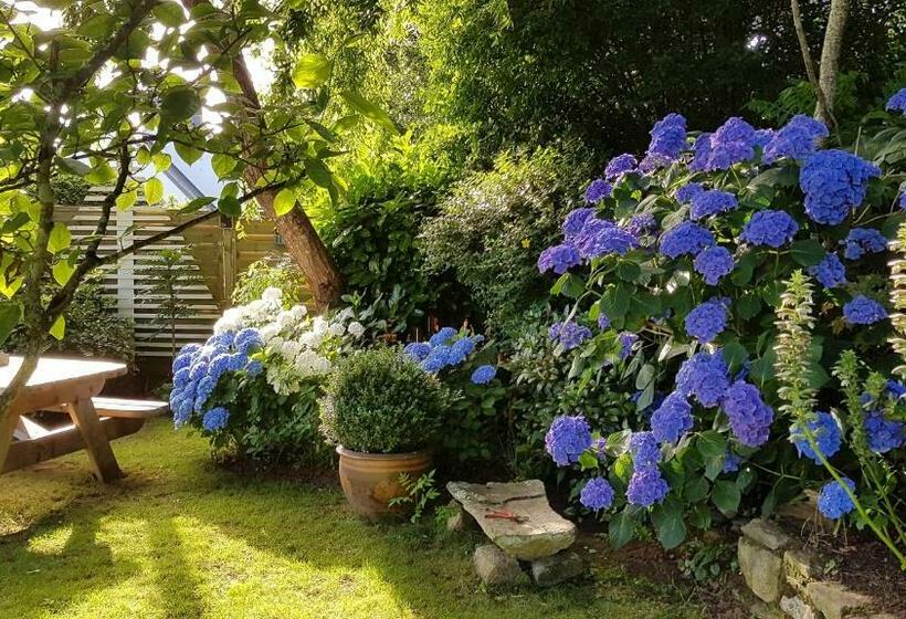 Bed and Breakfast Le Carpe Diem