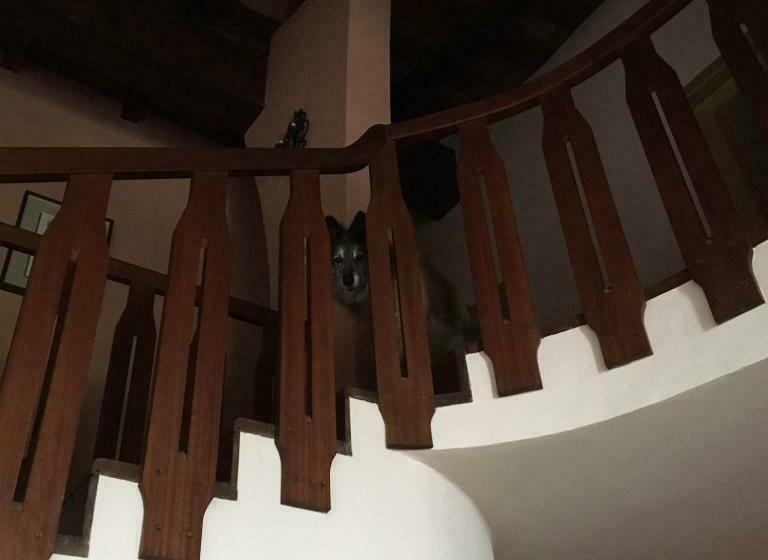 住宿加早餐  Mirabilia