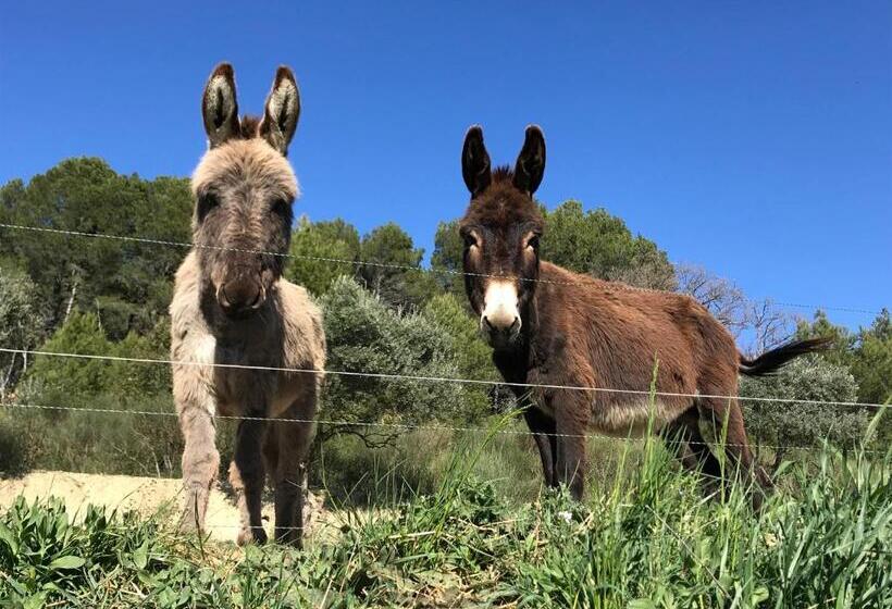 ベッドアンドブレックファースト Locations Insolites Vie En Plein Air Cabane Et Tipi Bastide Bellugue Maison D Hôtes Reseau Bienvenue