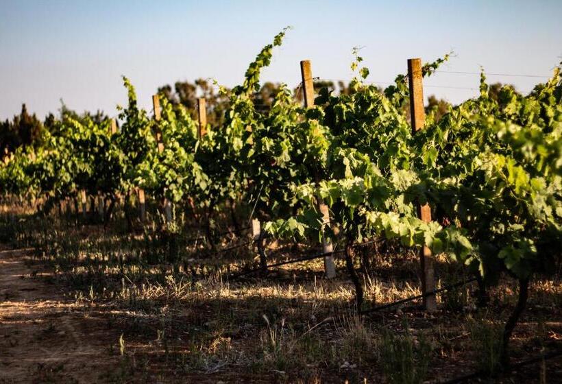 تختخواب و صبحانه The Vineyards
