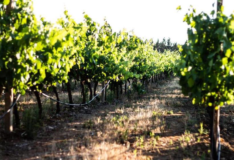 تختخواب و صبحانه The Vineyards
