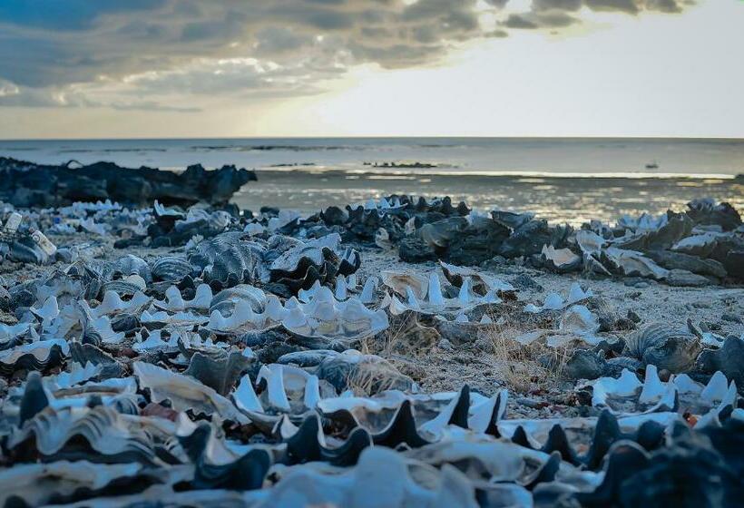 هتل Mulia Bungalows