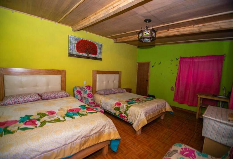 پانسیون Cabañas Tipo Habitación  El Paraíso De Zacatlán