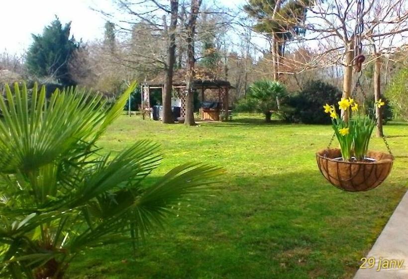 بنسيون Le Clos Des Palombes