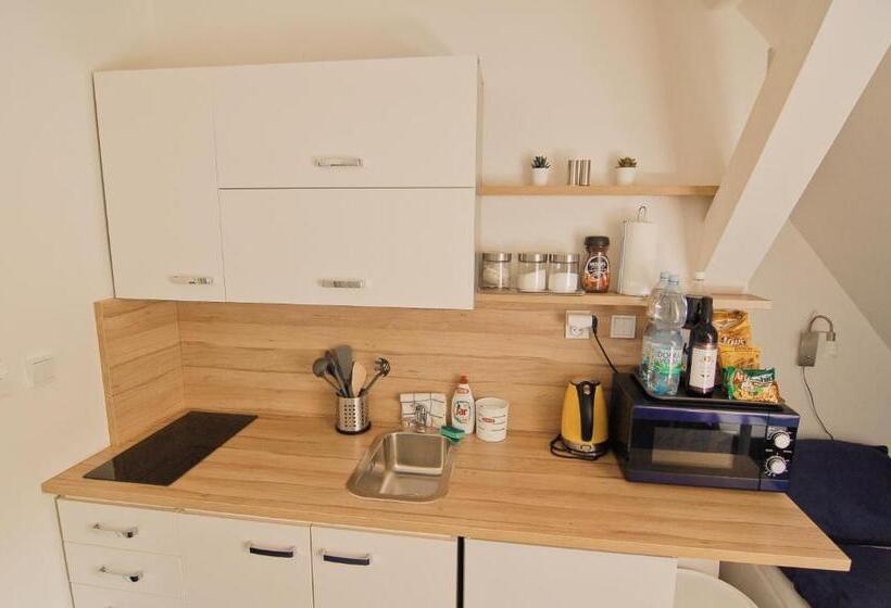 Aparthotel Vítkovice