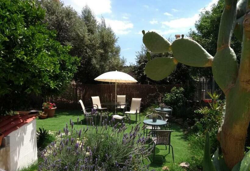 تختخواب و صبحانه Casa Caimari Guest House, For Mountain Lovers!