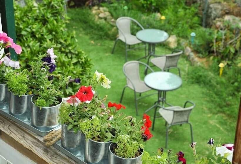 تختخواب و صبحانه Casa Caimari Guest House, For Mountain Lovers!
