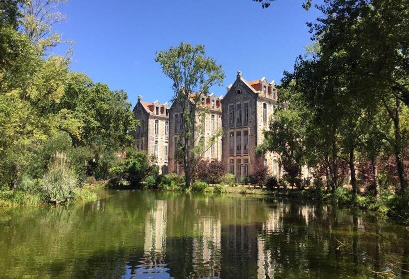 تختخواب و صبحانه Casa Das Palmas