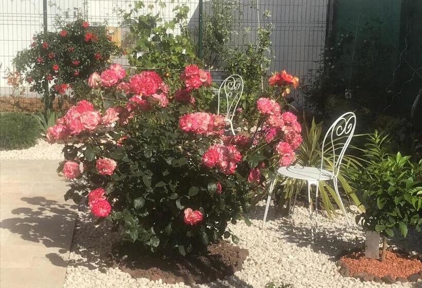 ベッドアンドブレックファースト Chambre D Hôtes Dans Villa Diane