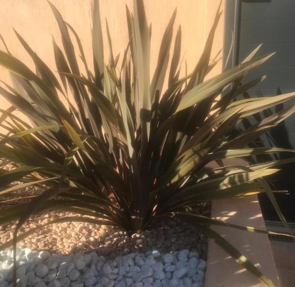 ベッドアンドブレックファースト Chambre D Hôtes Dans Villa Diane