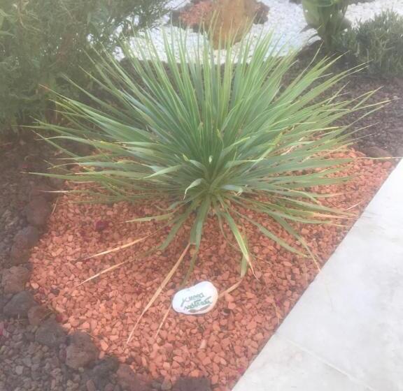 ベッドアンドブレックファースト Chambre D Hôtes Dans Villa Diane