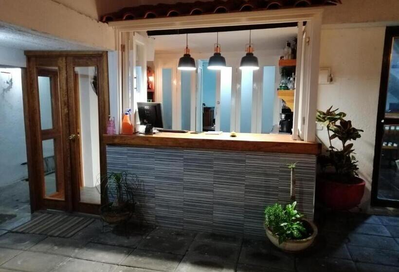 پانسیون Hostal Mago