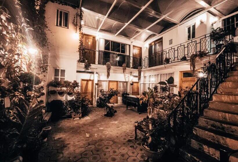 پانسیون Hostal Mago