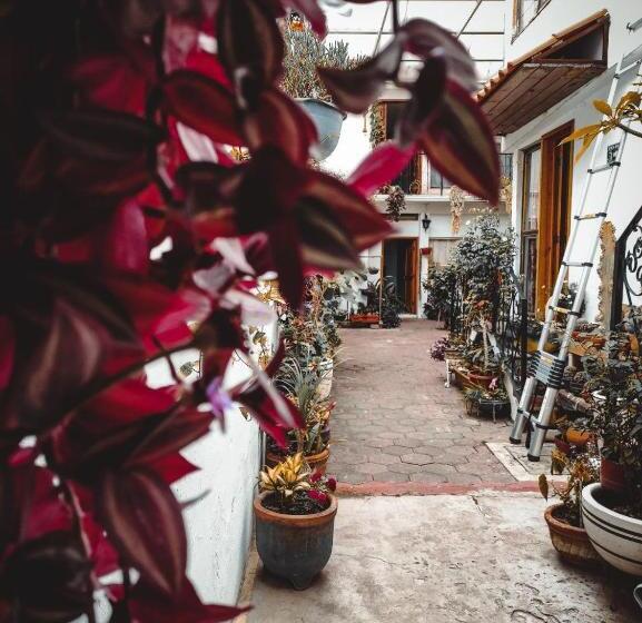 پانسیون Hostal Mago