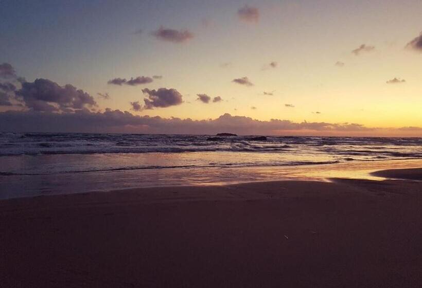 پانسیون Mare Nostrum