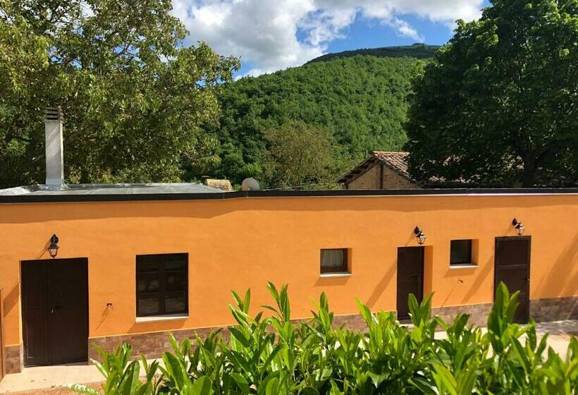 B&b Ollyfarm