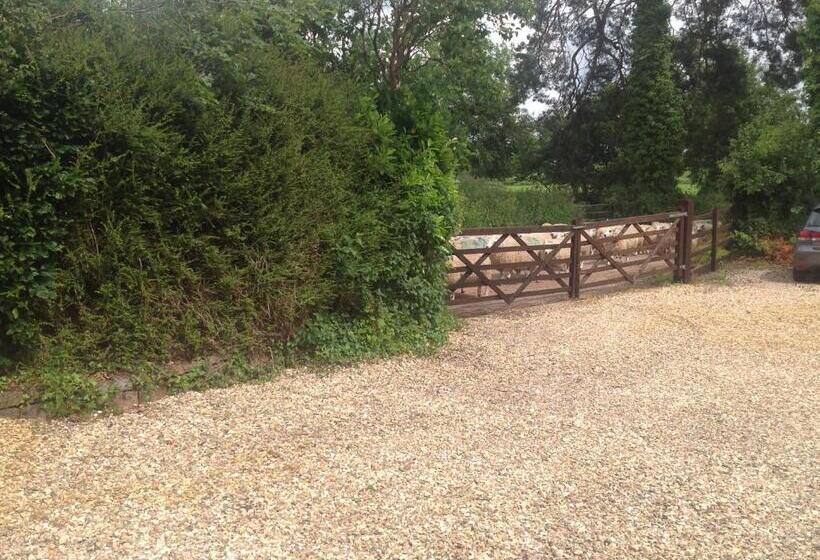 تختخواب و صبحانه Meadowview